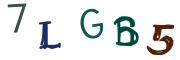 Bild-CAPTCHA