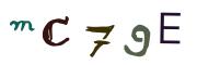 Bild-CAPTCHA
