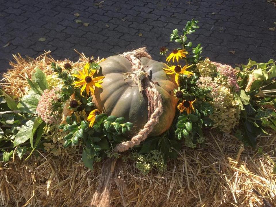 wunderschöne Deko