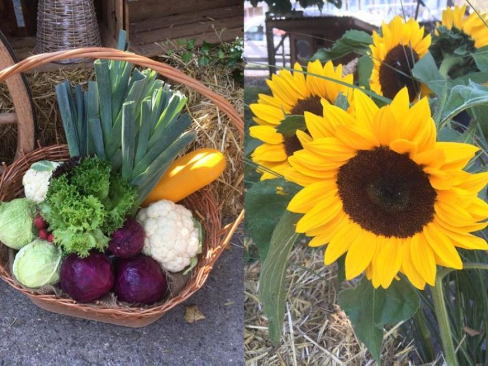 Fotos: Petra Mildenberger