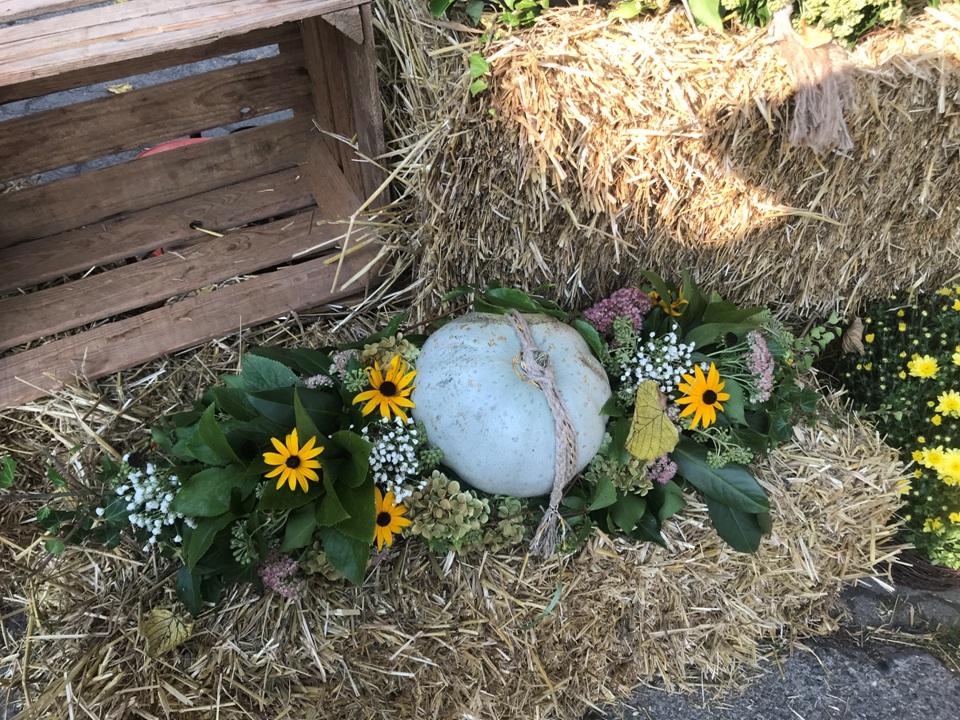 Helen Frei, Stephan Wälti