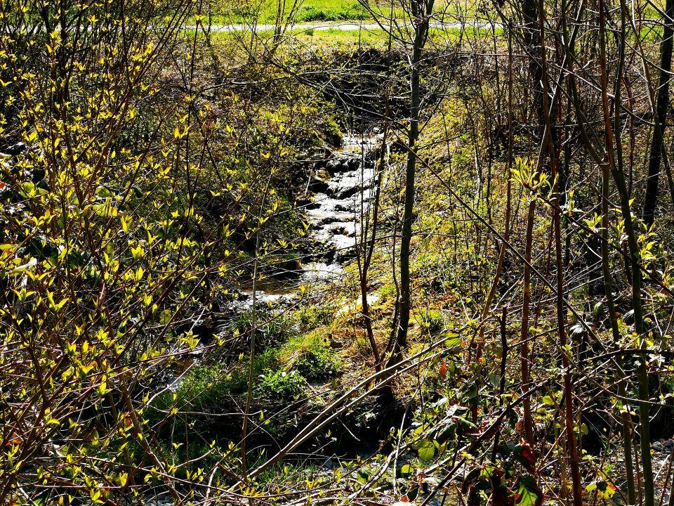 Murg Wasserfall klein