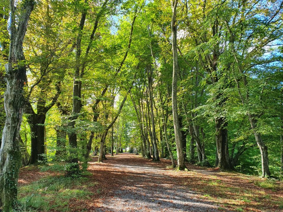 Seniorenausflug 20.09.2022