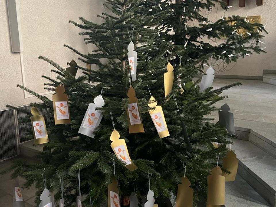 Jesus, das Licht, lässt sich von allen Menschen finden