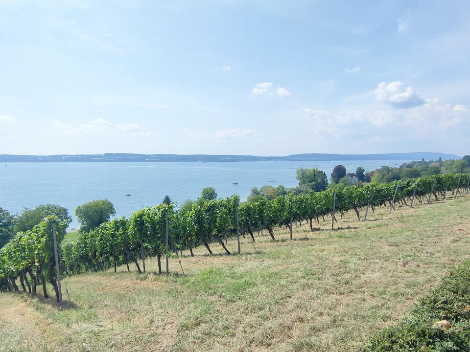 Mitarbeiterausflug_Markdorf