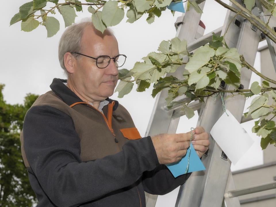 Pastoralraumtag 2024 - Patrozinium St. Antonius 2024