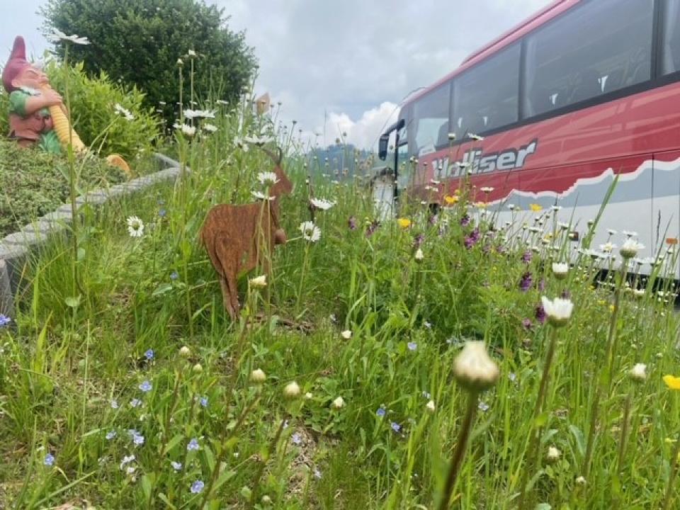 Seniorinnenreise 2024