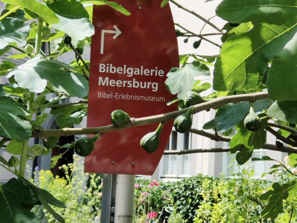 Ministrantenausflug 2025