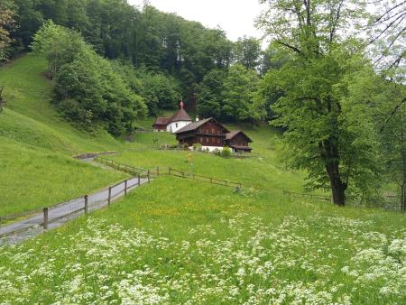 Impressionen
