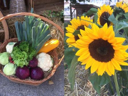 Fotos: Petra Mildenberger