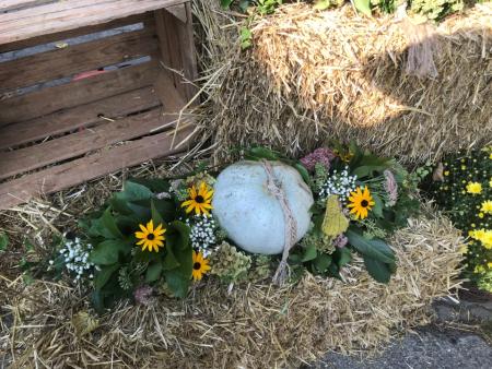 Helen Frei, Stephan Wälti