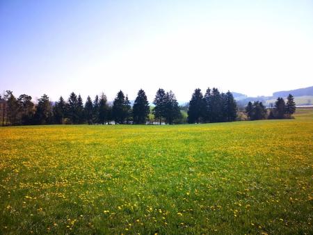 Frühlingserwachen im Pastoralraum Hinterthurgau