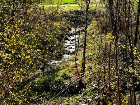 Murg Wasserfall klein