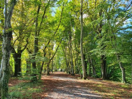 Seniorenausflug 20.09.2022