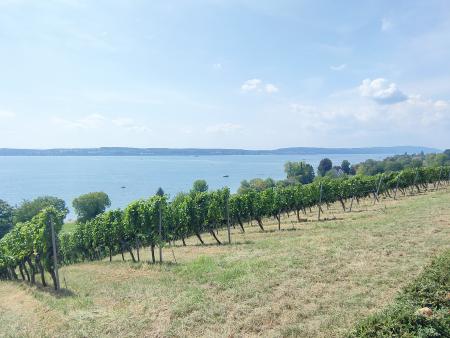 Mitarbeiterausflug_Markdorf