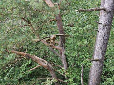 Mitarbeiterausflug Toggenburg 2024