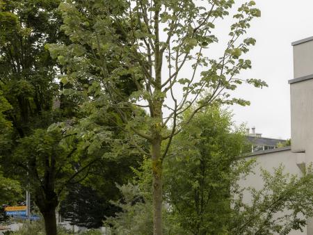 Pastoralraumtag 2024 - Patrozinium St. Antonius 2024