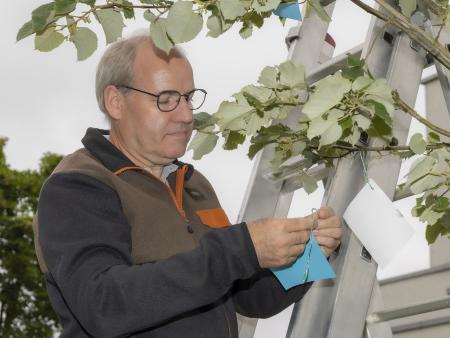 Pastoralraumtag 2024 - Patrozinium St. Antonius 2024