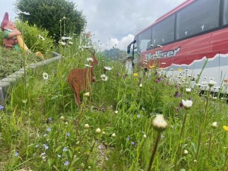 Seniorinnenreise 2024