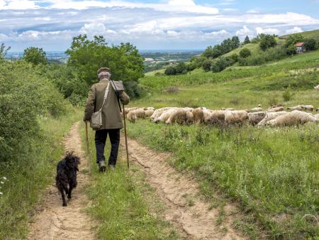 Ein Wort des Dankes zum Abschied